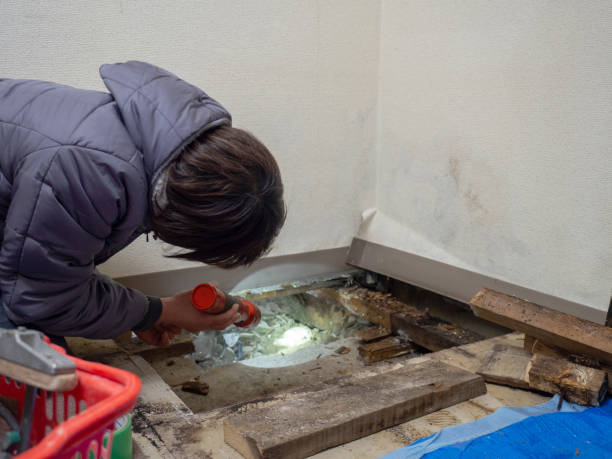 Dehumidification Services in Adamsville, AL