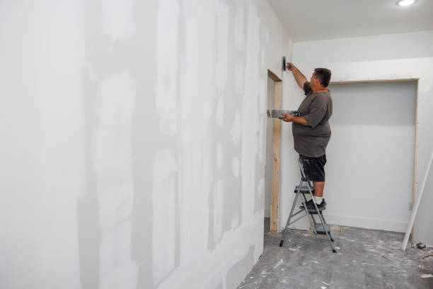 Best Water Damage & Mold Remediation  in Adamsville, AL
