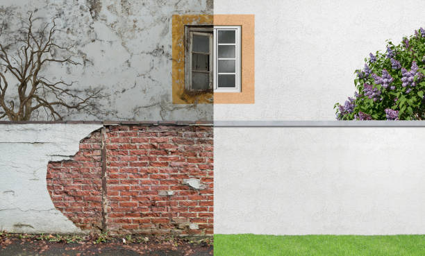 Best Mold Prevention Services  in Adamsville, AL