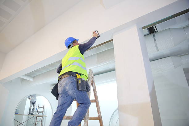 Best Asbestos and Lead Testing During Mold Inspection  in Adamsville, AL
