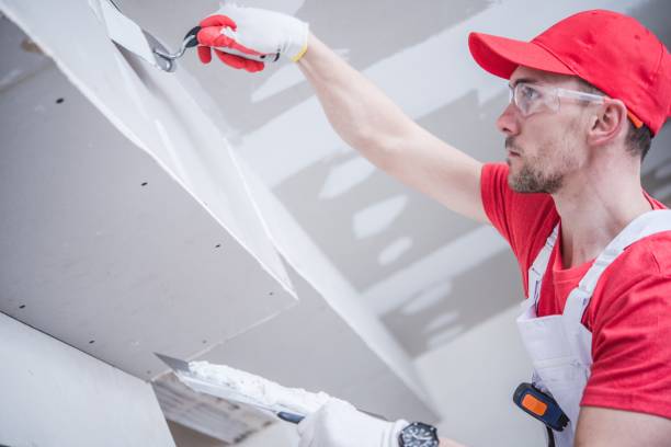 Best Post-Construction Mold Inspection  in Adamsville, AL